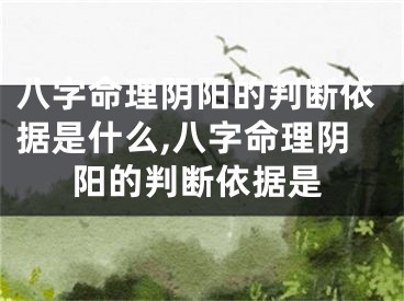 八字命理阴阳的判断依据是什么,八字命理阴阳的判断依据是