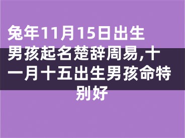 兔年11月15日出生男孩起名楚辞周易,十一月十五出生男孩命特别好