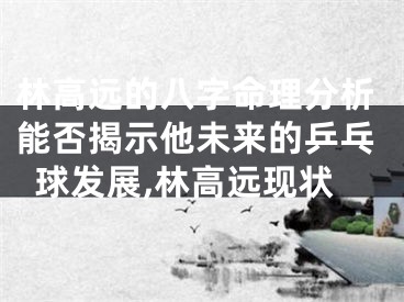 林高远的八字命理分析能否揭示他未来的乒乓球发展,林高远现状