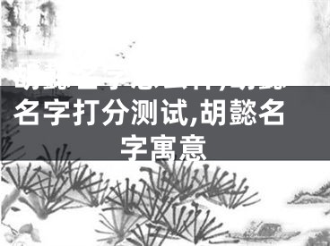 胡懿名字怎么样,胡懿名字打分测试,胡懿名字寓意