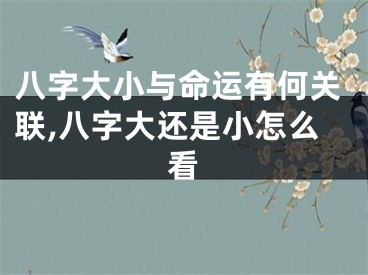 八字大小与命运有何关联,八字大还是小怎么看