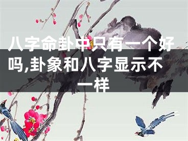 八字命卦中只有一个好吗,卦象和八字显示不一样