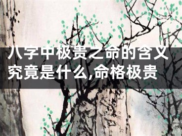 八字中极贵之命的含义究竟是什么,命格极贵