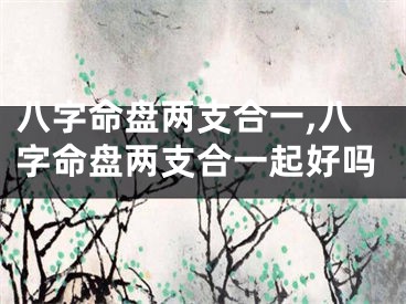 八字命盘两支合一,八字命盘两支合一起好吗