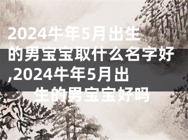 2024牛年5月出生的男宝宝取什么名字好,2024牛年5月出生的男宝宝好吗