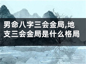 男命八字三会金局,地支三会金局是什么格局