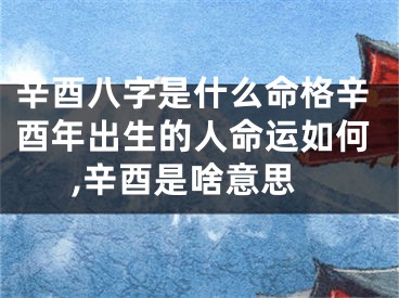 辛酉八字是什么命格辛酉年出生的人命运如何,辛酉是啥意思