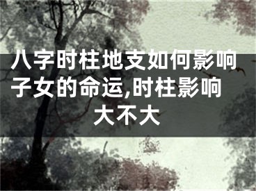 八字时柱地支如何影响子女的命运,时柱影响大不大