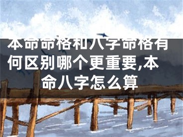 本命命格和八字命格有何区别哪个更重要,本命八字怎么算