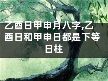 乙酉日甲申月八字,乙酉日和甲申日都是下等日柱