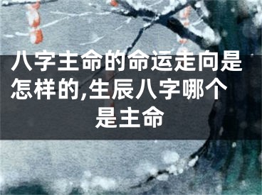 八字主命的命运走向是怎样的,生辰八字哪个是主命