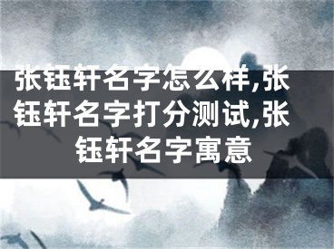 张钰轩名字怎么样,张钰轩名字打分测试,张钰轩名字寓意