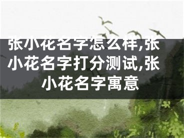张小花名字怎么样,张小花名字打分测试,张小花名字寓意