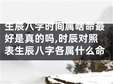 生辰八字时间属啥命最好是真的吗,时辰对照表生辰八字各属什么命