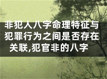 非犯人八字命理特征与犯罪行为之间是否存在关联,犯官非的八字