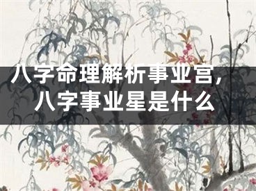 八字命理解析事业宫,八字事业星是什么