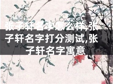张子轩名字怎么样,张子轩名字打分测试,张子轩名字寓意