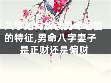 八字如何解读男命老婆的特征,男命八字妻子是正财还是偏财