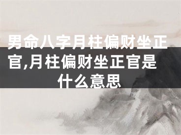 男命八字月柱偏财坐正官,月柱偏财坐正官是什么意思
