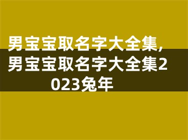 男宝宝取名字大全集,男宝宝取名字大全集2023兔年