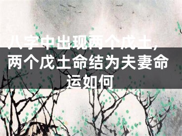 八字中出现两个戊土,两个戊土命结为夫妻命运如何