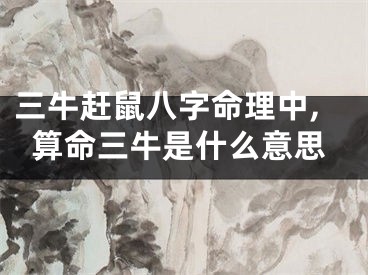 三牛赶鼠八字命理中,算命三牛是什么意思