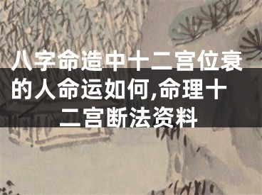 八字命造中十二宫位衰的人命运如何,命理十二宫断法资料