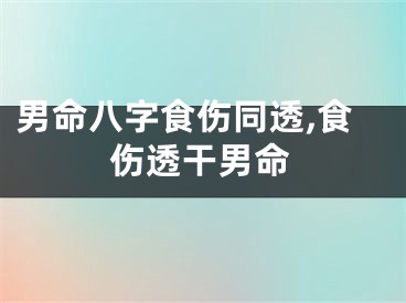 男命八字食伤同透,食伤透干男命