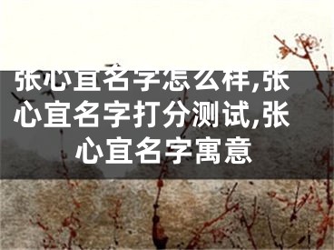 张心宜名字怎么样,张心宜名字打分测试,张心宜名字寓意
