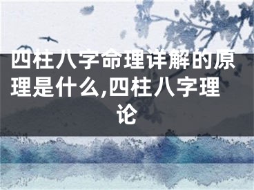 四柱八字命理详解的原理是什么,四柱八字理论