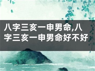 八字三亥一申男命,八字三亥一申男命好不好
