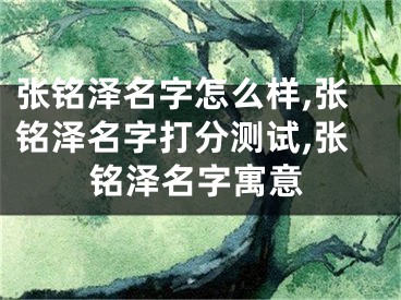 张铭泽名字怎么样,张铭泽名字打分测试,张铭泽名字寓意