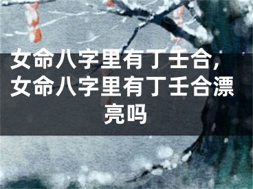 女命八字里有丁壬合,女命八字里有丁壬合漂亮吗