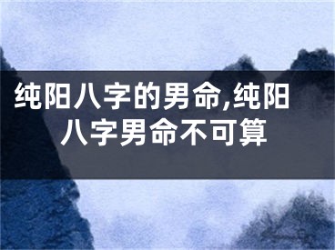 纯阳八字的男命,纯阳八字男命不可算