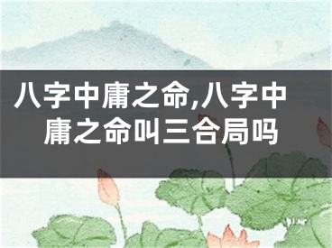 八字中庸之命,八字中庸之命叫三合局吗