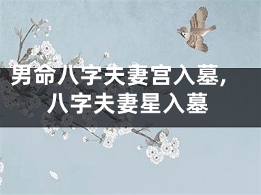 男命八字夫妻宫入墓,八字夫妻星入墓