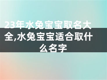 23年水兔宝宝取名大全,水兔宝宝适合取什么名字