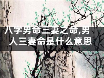 八字男命三妻之命,男人三妻命是什么意思
