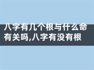八字有几个根与什么命有关吗,八字有没有根