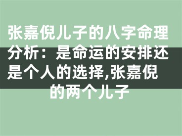 张嘉倪儿子的八字命理分析：是命运的安排还是个人的选择,张嘉倪的两个儿子