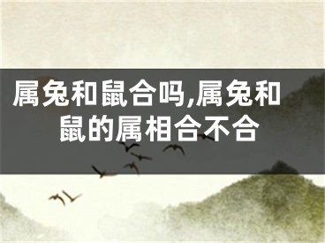 属兔和鼠合吗,属兔和鼠的属相合不合