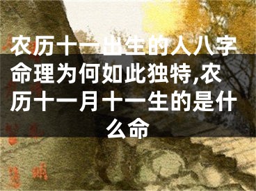 农历十一出生的人八字命理为何如此独特,农历十一月十一生的是什么命