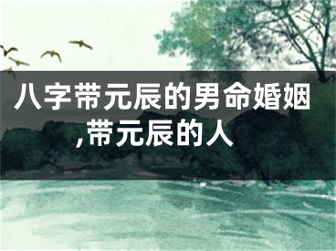 八字带元辰的男命婚姻,带元辰的人