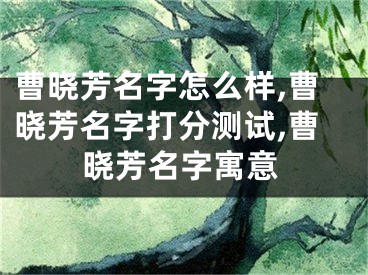 曹晓芳名字怎么样,曹晓芳名字打分测试,曹晓芳名字寓意