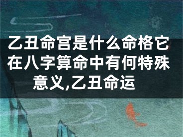 乙丑命宫是什么命格它在八字算命中有何特殊意义,乙丑命运