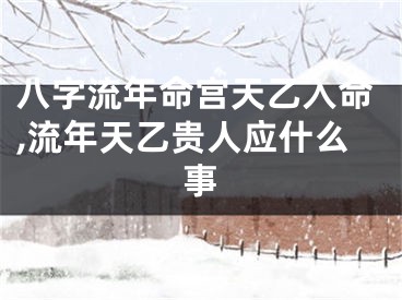 八字流年命宫天乙入命,流年天乙贵人应什么事