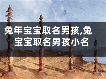 兔年宝宝取名男孩,兔宝宝取名男孩小名