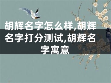 胡辉名字怎么样,胡辉名字打分测试,胡辉名字寓意