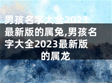 男孩名字大全2023最新版的属兔,男孩名字大全2023最新版的属龙