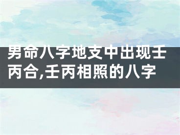 男命八字地支中出现壬丙合,壬丙相照的八字